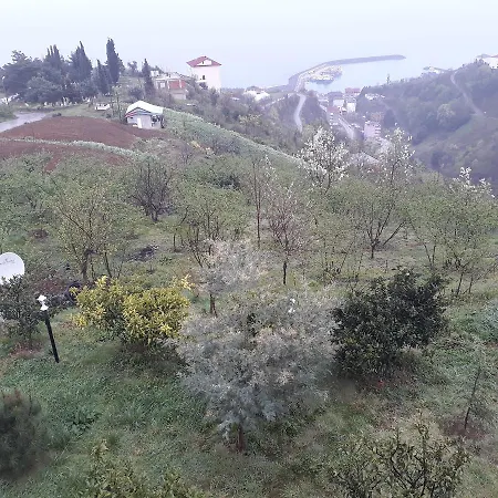 Villa Trabzon Palace